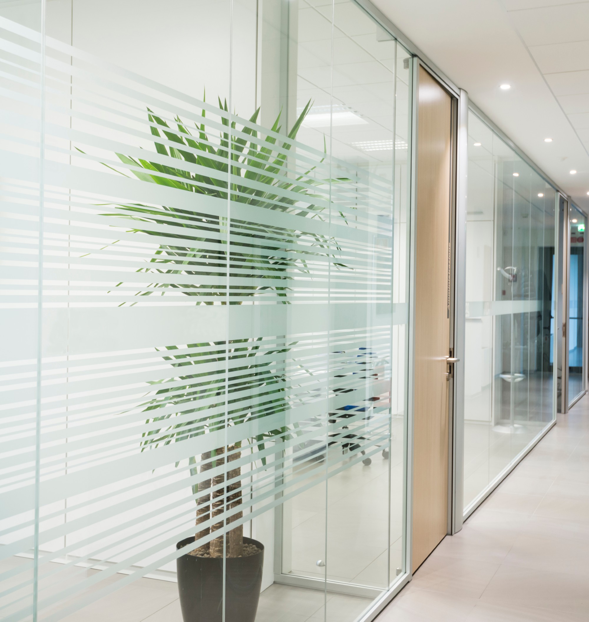 Opole – stolica województwa i nowoczesne rozwiązania dla biznesu