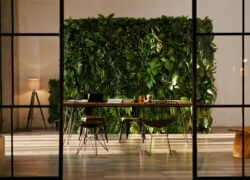 Biophilic design i dopamine decor w nowoczesnym biurze – jak łączyć trendy z funkcjonalnością?