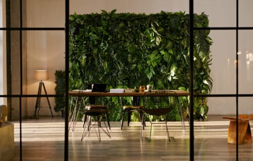 Biophilic design i dopamine decor w nowoczesnym biurze – jak łączyć trendy z funkcjonalnością?